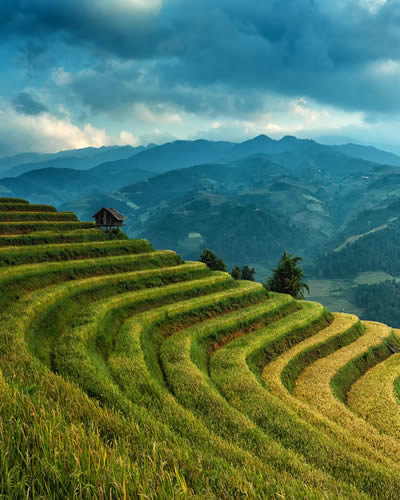 TC Holidays travel experience