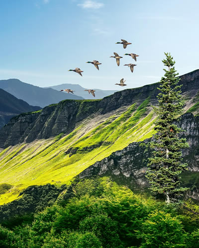 TC Holidays travel experience