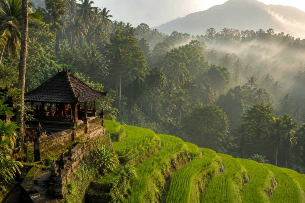 Places to visit in Bali
best places in Bali